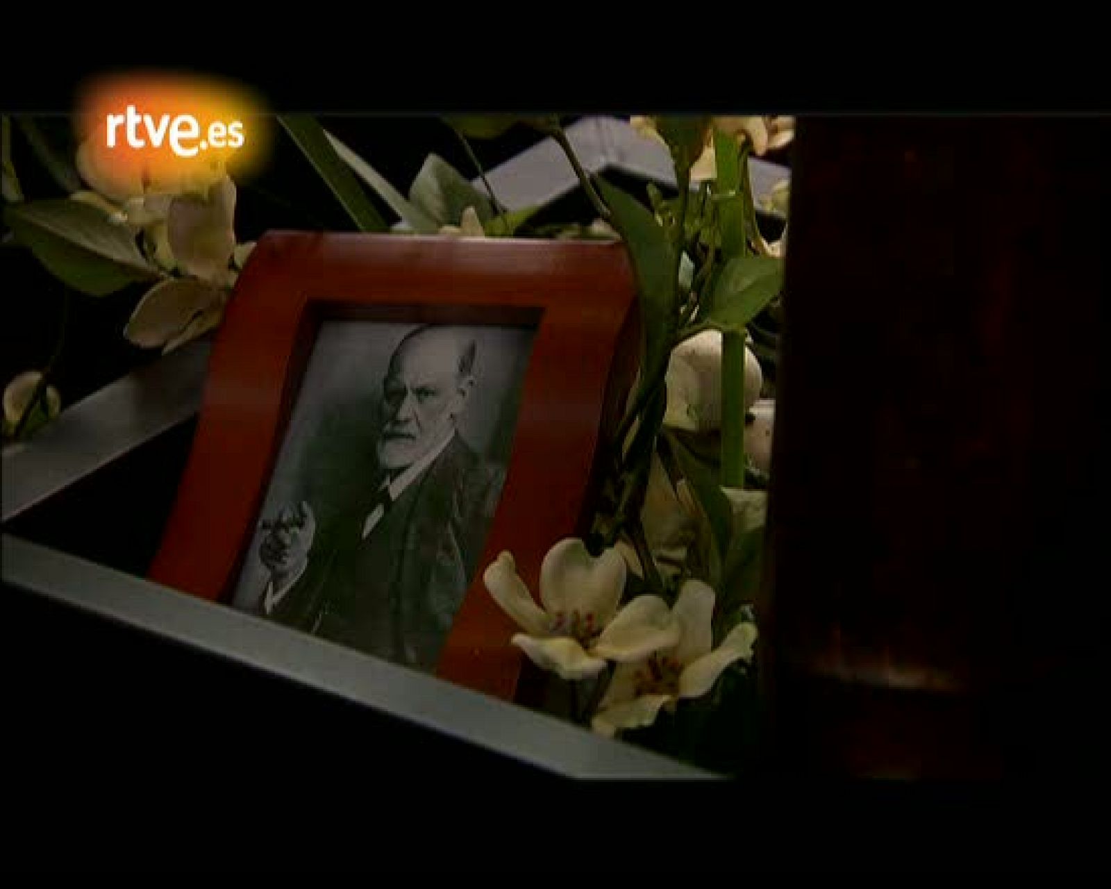 Ciudad K - Capítulo 2: Diván del psicoanalista - Ciudad K | Ver