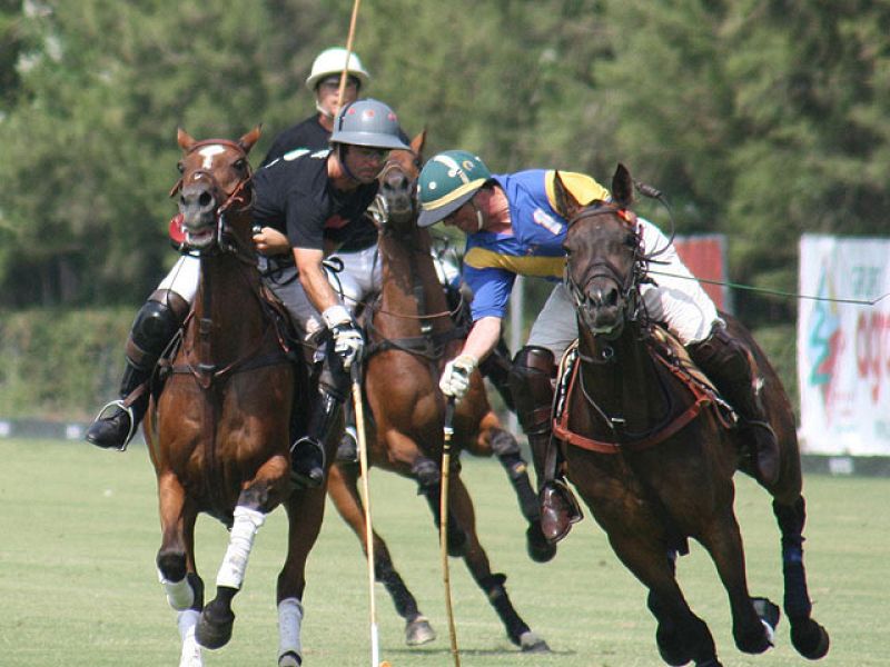 39º Torneo Internacional BMW de Polo | Ver