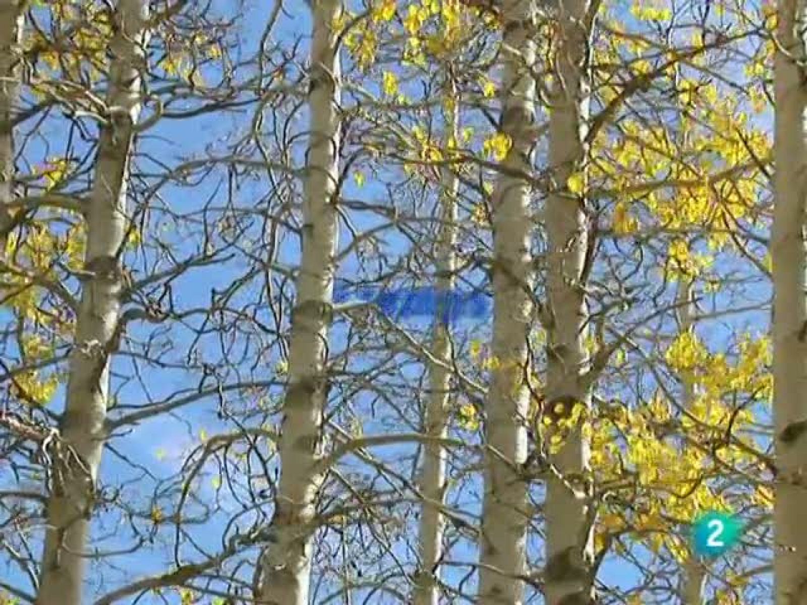 El temps (27-09-2010)