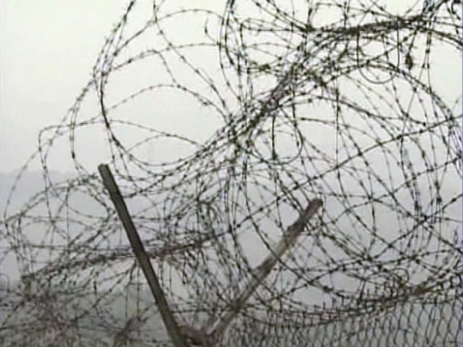 La frontera más militarizada del mundo | Ver