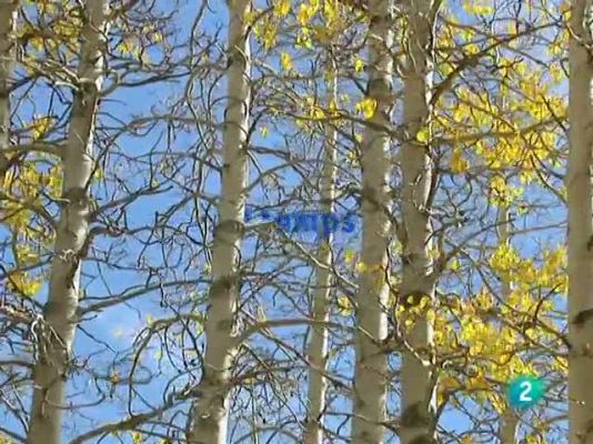 L'Informatiu - El temps en Catalunya - 28/09/08