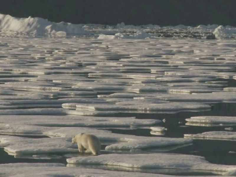 El calentamiento global pone un precio al Ártico - Ciencia y tecnología en Rtve.es | Ver