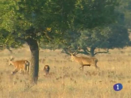 Noticias de Castilla-La Mancha - Noticias de Castilla - La Mancha. Informativo de Castilla - La Mancha. (30/09/10)