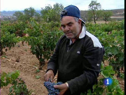  - 4 vinos españoles de 100 puntos