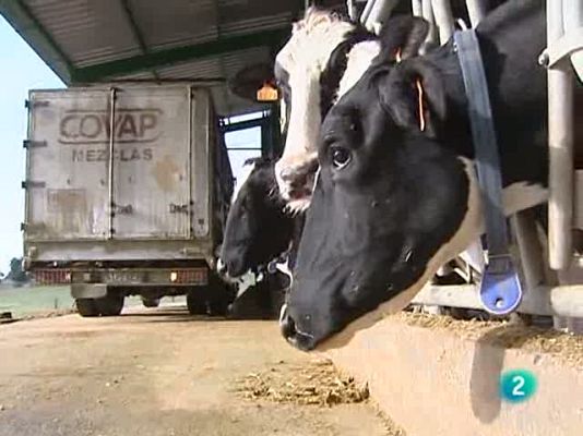 Agrosfera - Agrosfera - 02/10/10