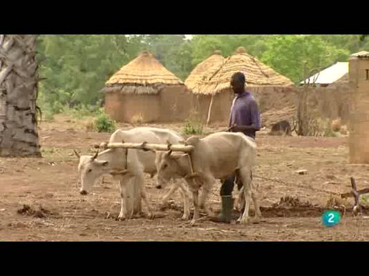 Pueblo de Dios - Tami, un milagro hecho realidad