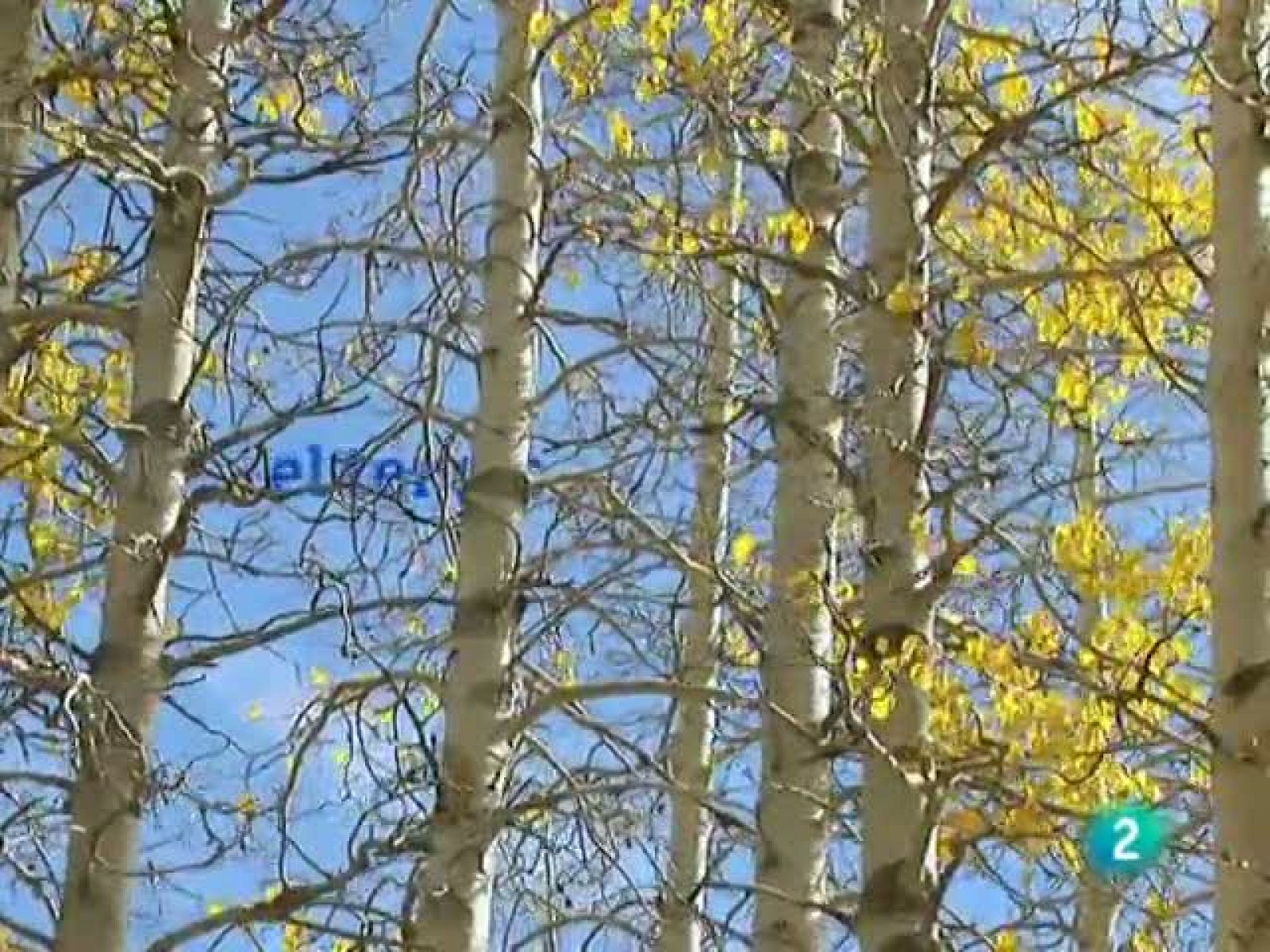 El temps (01-10-2010)