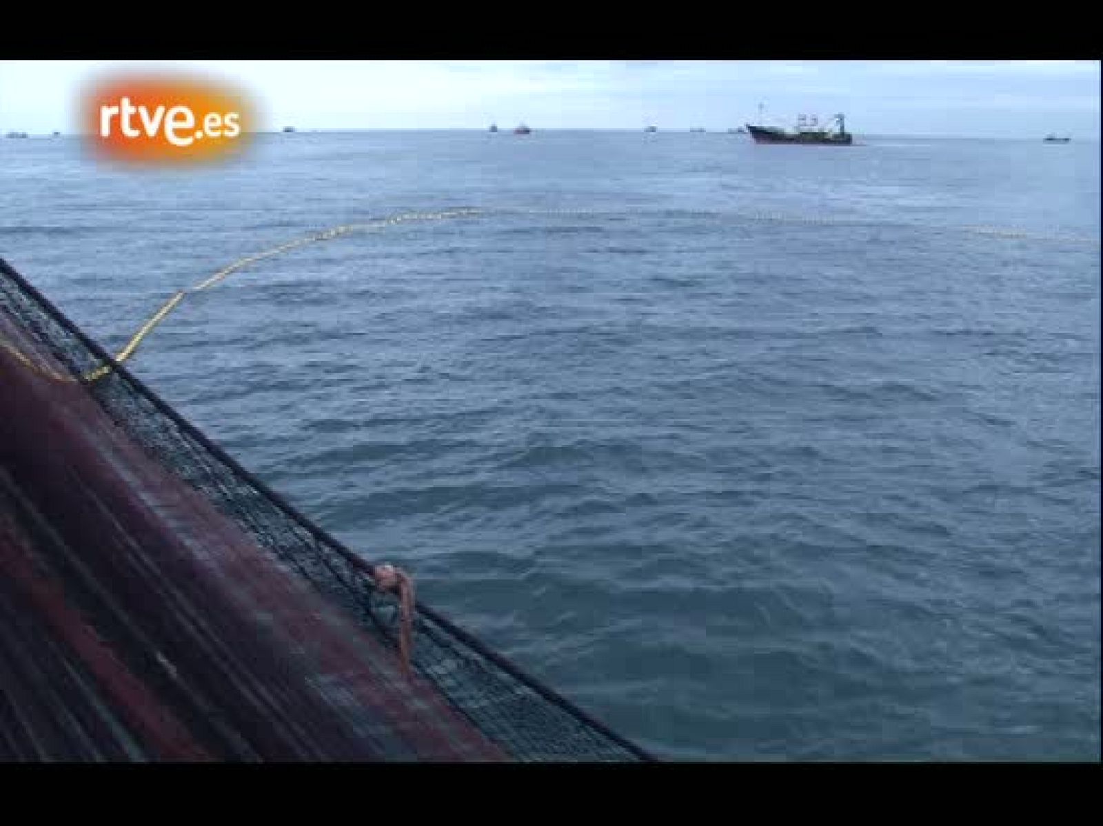 Crónicas - La mar de anchoas. Pescando bocarte en el Cantábrico, cinco años después - Crónicas | Ver