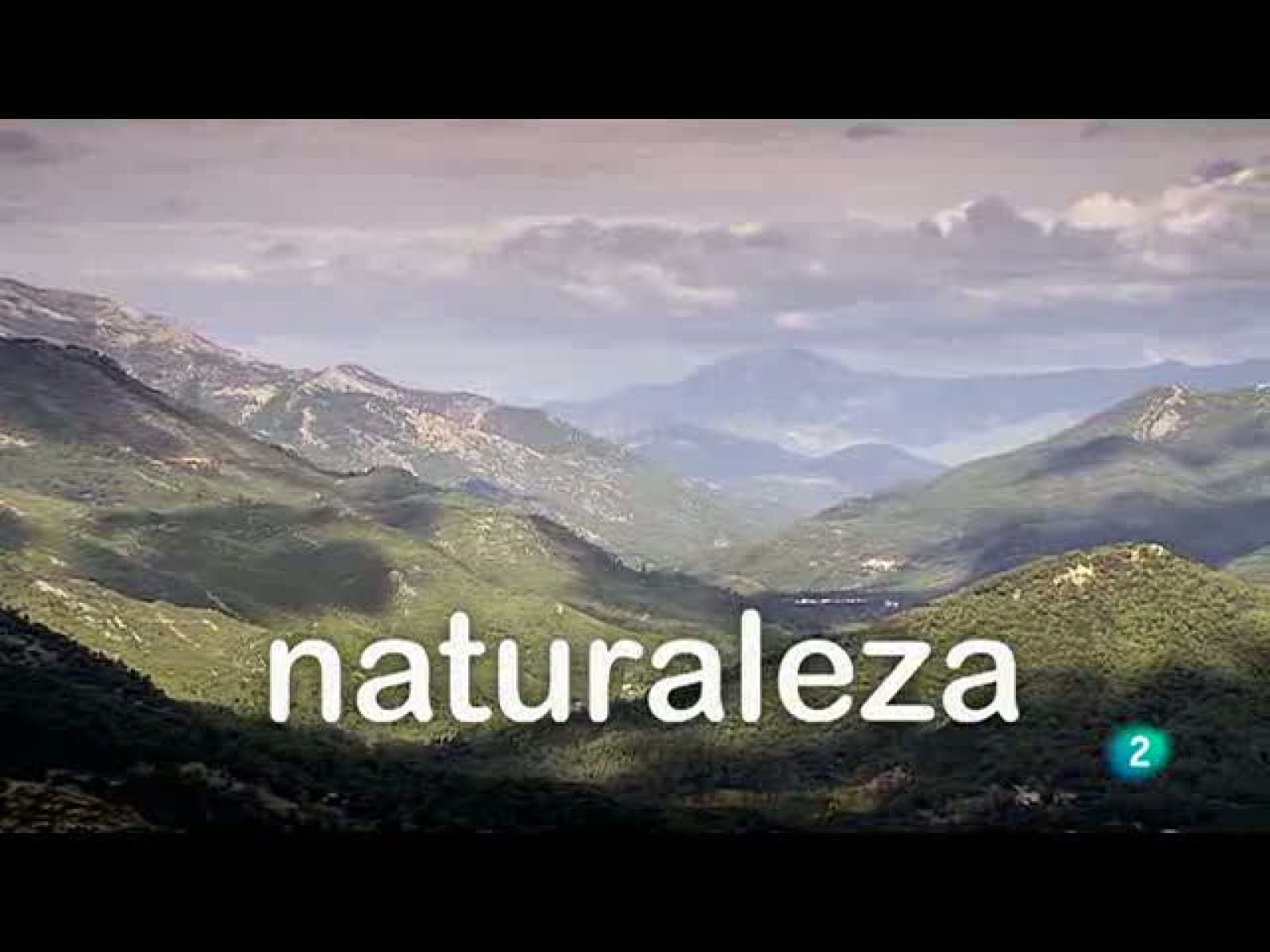 Biodiario (05/10/10)