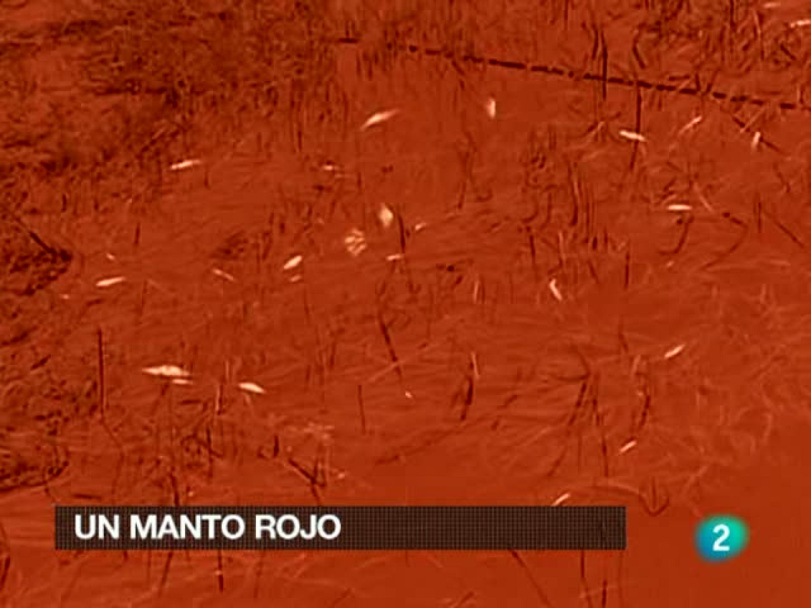 La 2 Noticias (06/10/10)