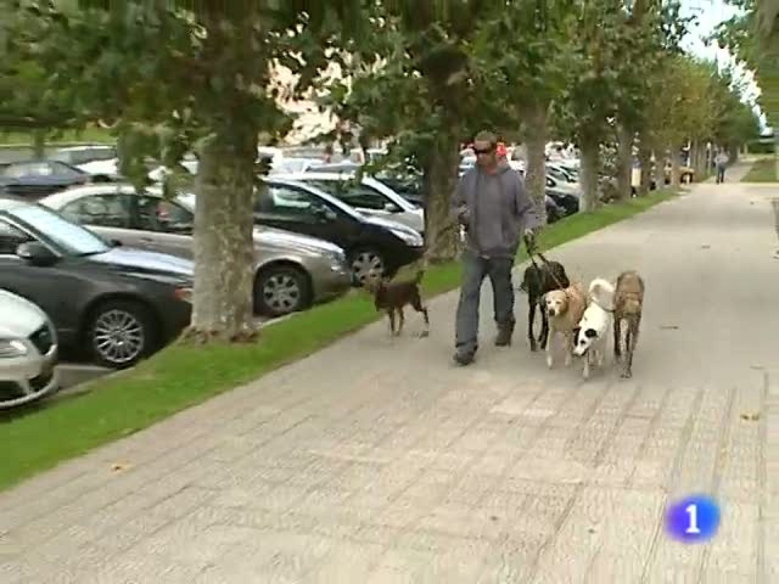 Telecantabria. (07/10/10)