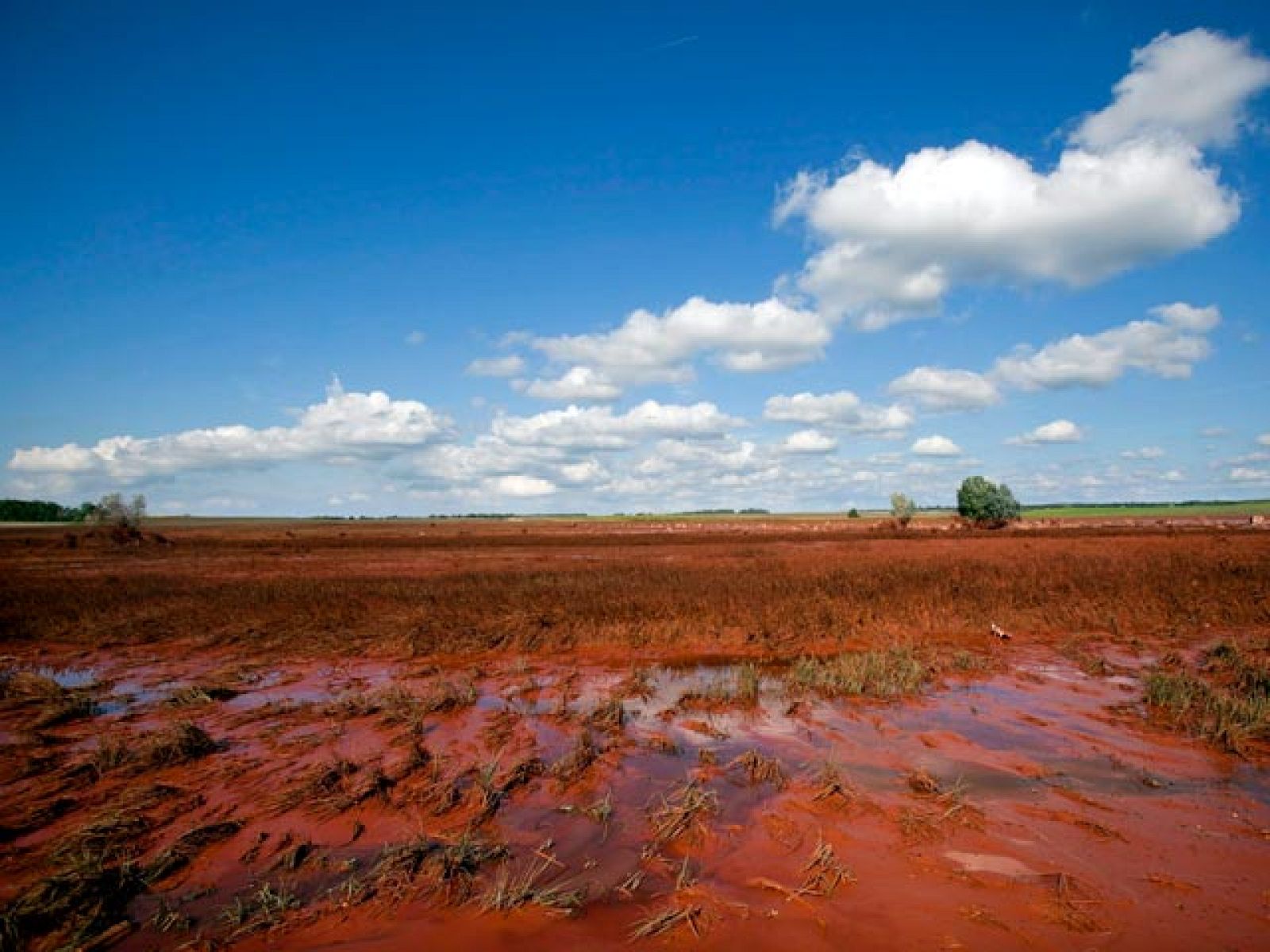 El vertido tóxico de Hungría llega al Danubio | Ver