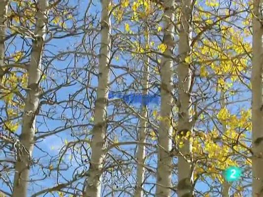 L'Informatiu - El temps en Catalunya - 07/10/10