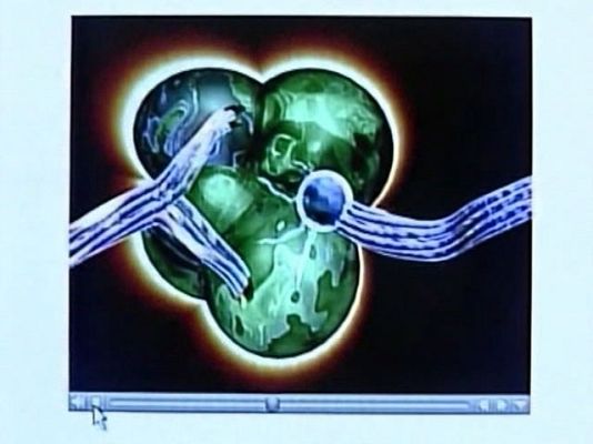 Ciencia y tecnología en Rtve.es - Intentan reproducir el cerebro