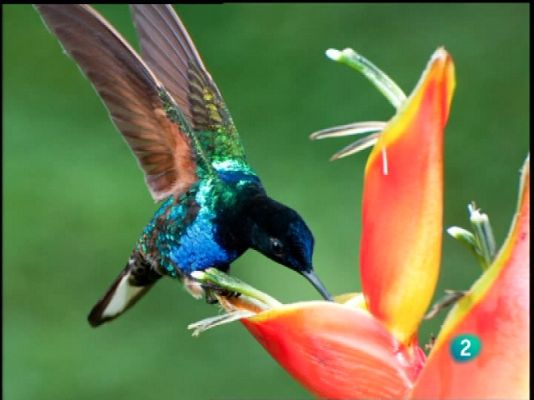 En lengua de signos - En lengua de signos - 09/10/10