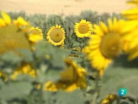 Agrosfera - Agrosfera - 09/10/10