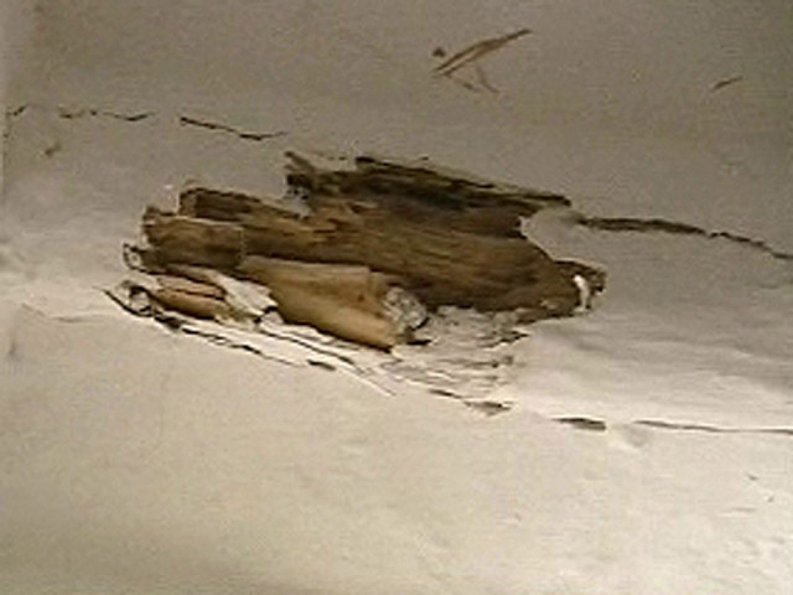 Guerra a las termitas