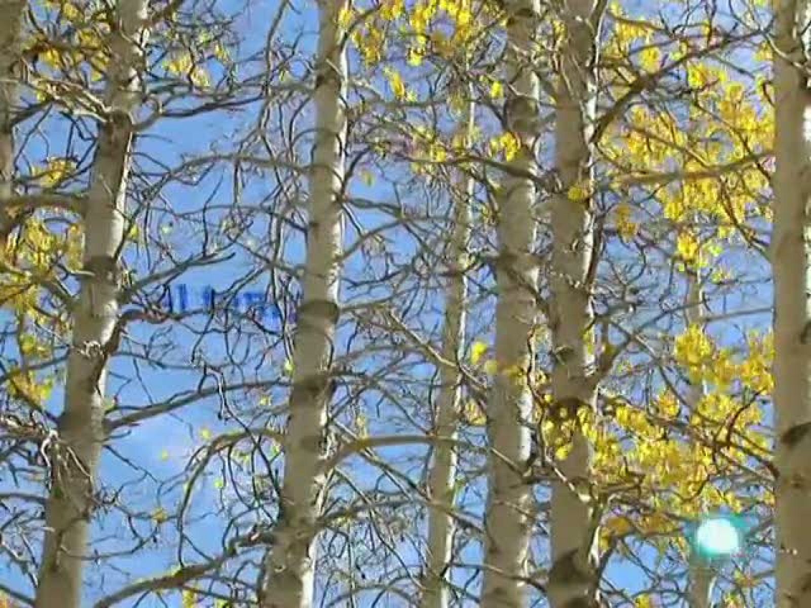 El temps (11-10-2010)