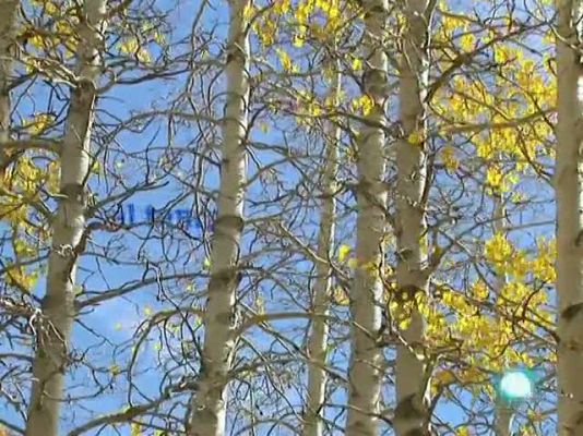 L'Informatiu - El temps en Catalunya - 11/10/10