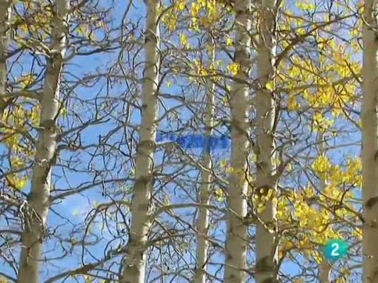 L'Informatiu - El temps en Catalunya - 08/10/10