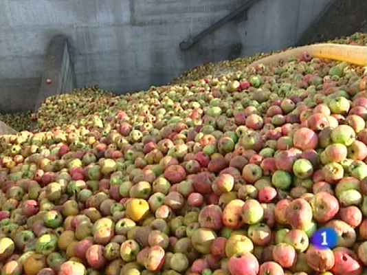 Panorama Regional - Panorama regional - 13/10/10