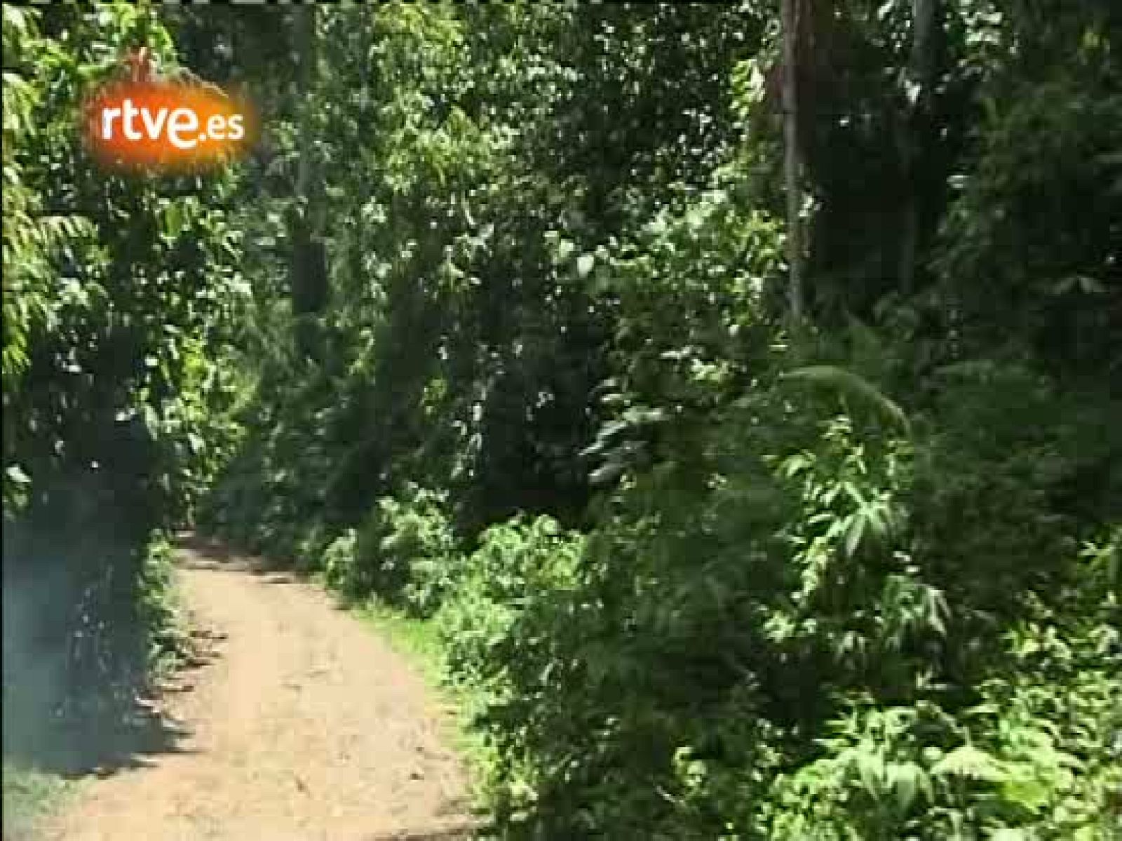 En portada - Así se hizo 'La ola que trajo la paz' | Ver