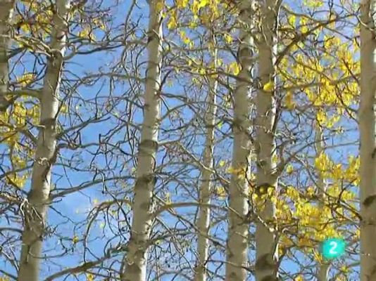 L'Informatiu - El temps en Catalunya - 13/10/10