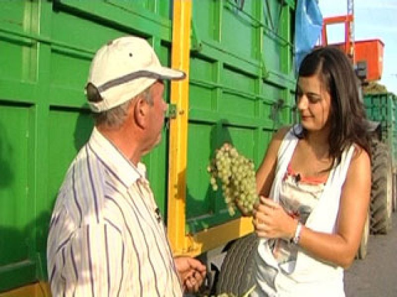 Comando Actualidad - Valdepeñas, Ciudad Real - Comando Actualidad | Ver