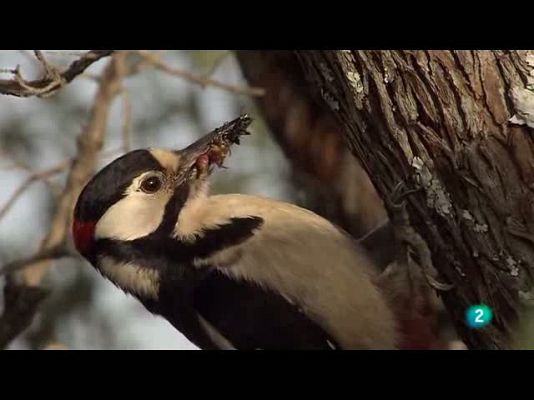 Biodiario - Biodiario - 14/10/10