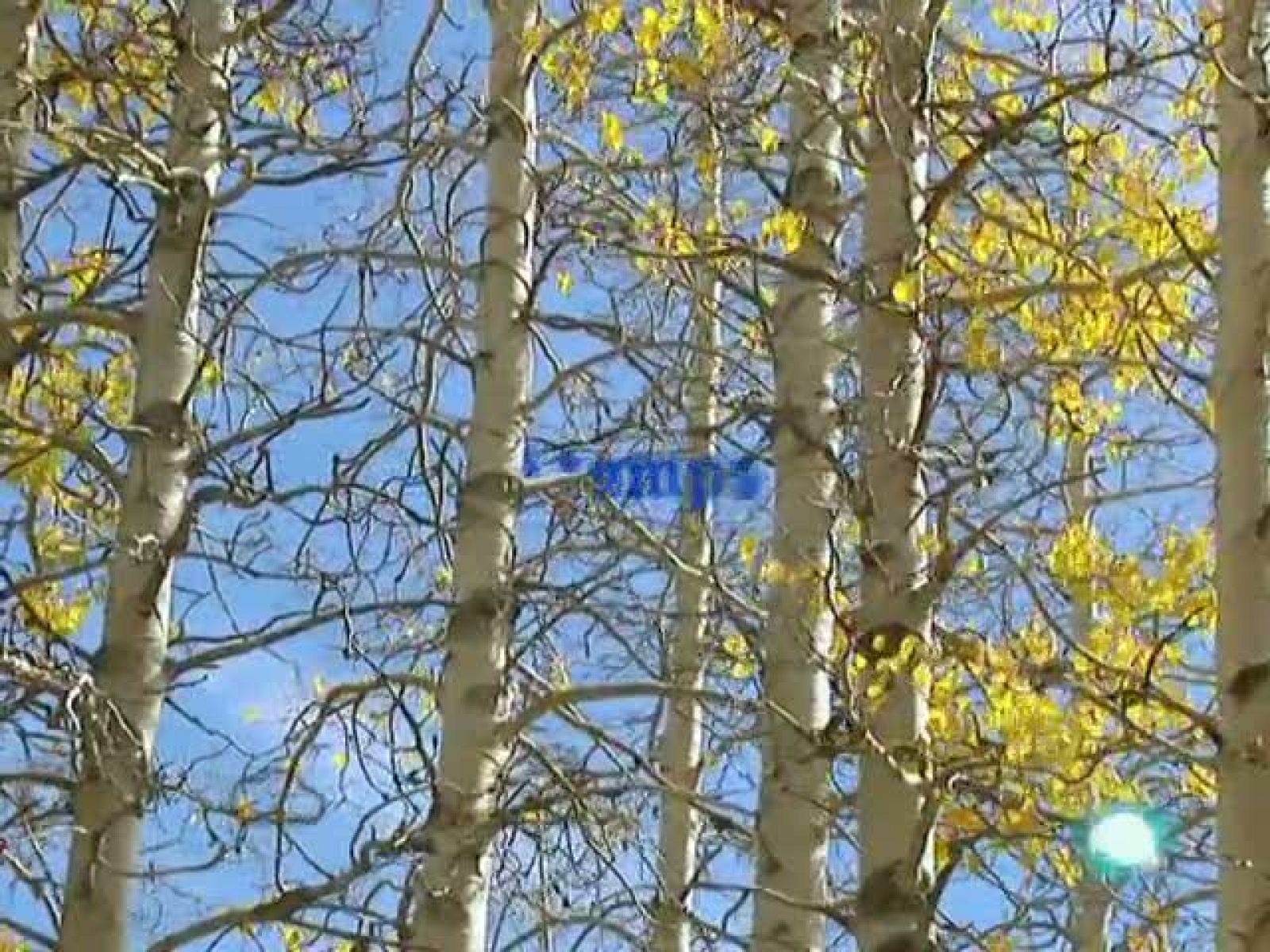 El temps (14-10-2010)