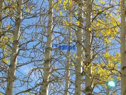 L'Informatiu - El temps en Catalunya - 14/10/10