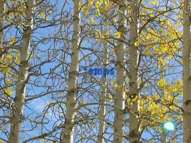 El temps (14-10-2010)