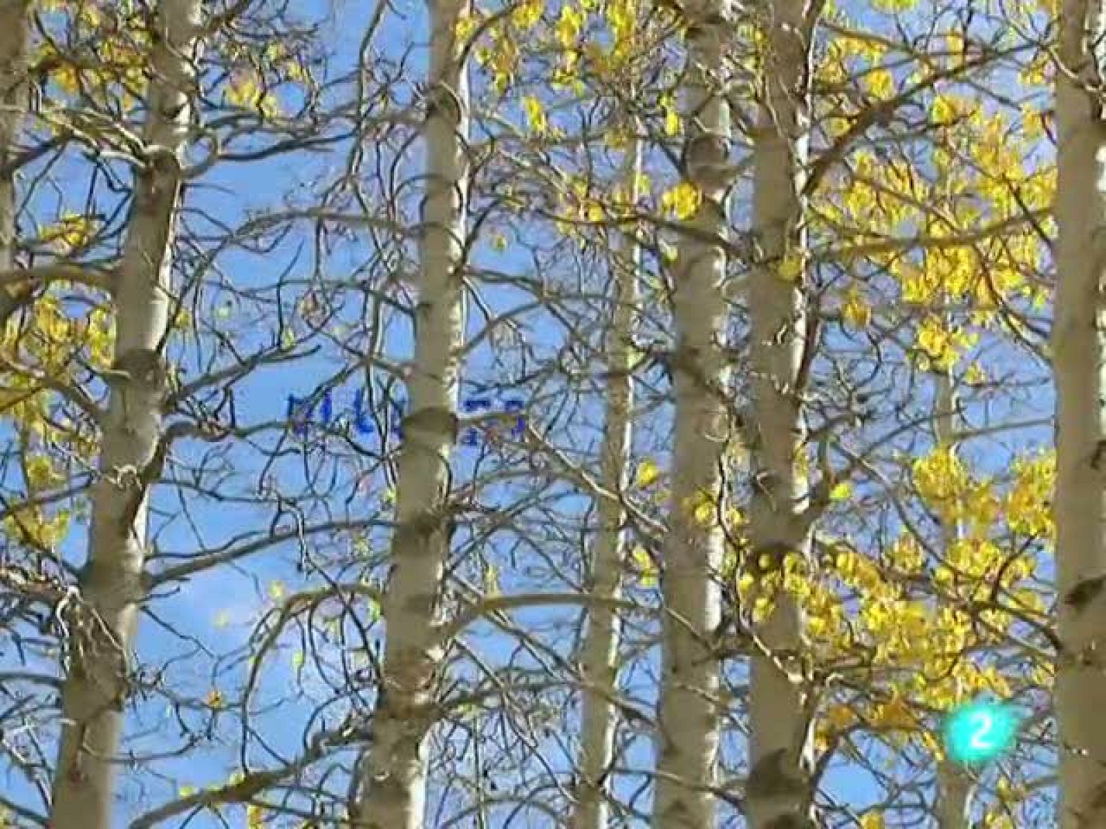 El temps (15-10-2010)