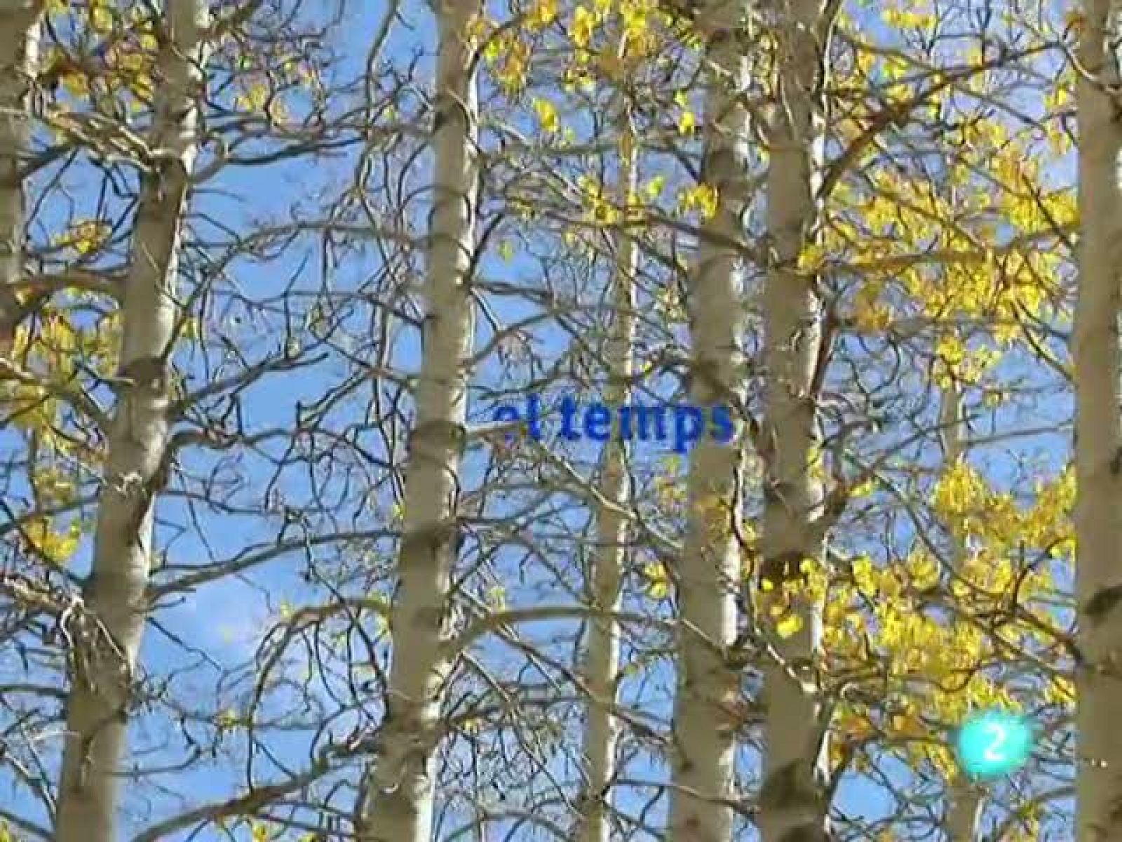 El temps (18-10-2010)