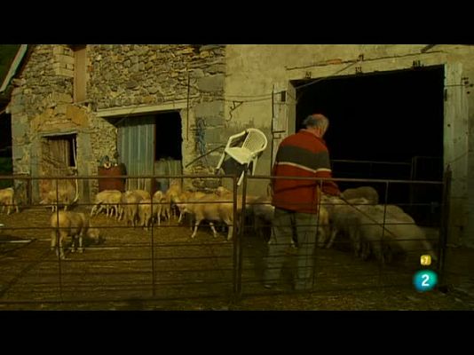 Con visado de calle - Con visado de calle - 19/10/10