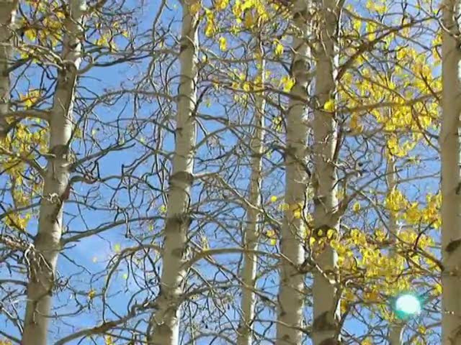 El temps (20-10-2010)