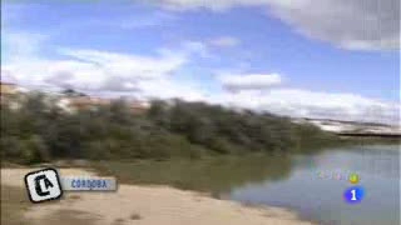 Comando Actualidad - Tengo una idea: alpargatas con olor a azahar - Comando Actualidad | Ver