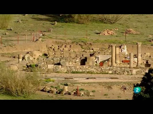 Biodiario - El valle de Alcudia