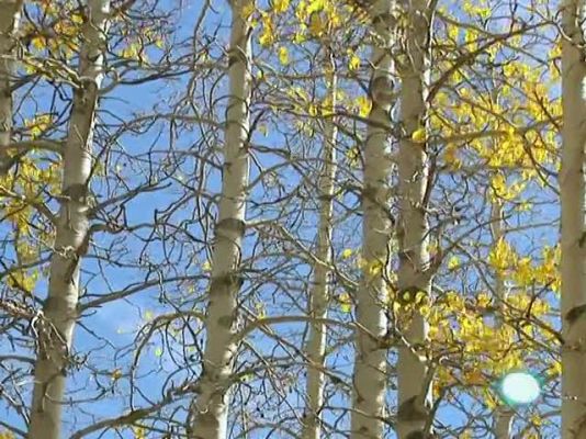 L'Informatiu - El temps en Catalunya - 21/10/10