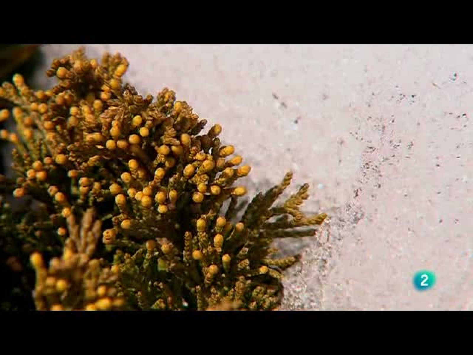 Biodiario (22/10/10)