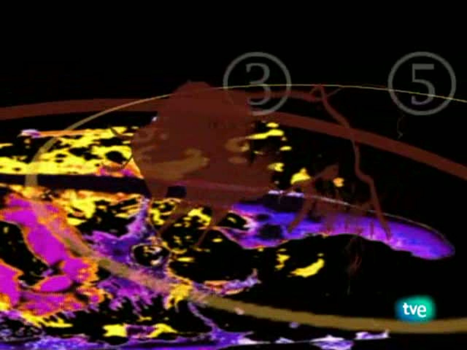 Tendido Cero (23/10/10)