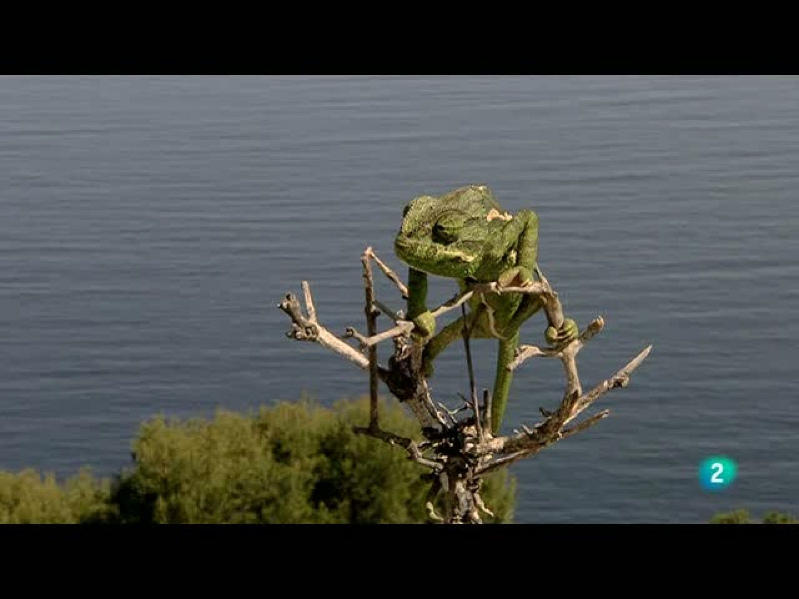 Biodiario (24/10/10)