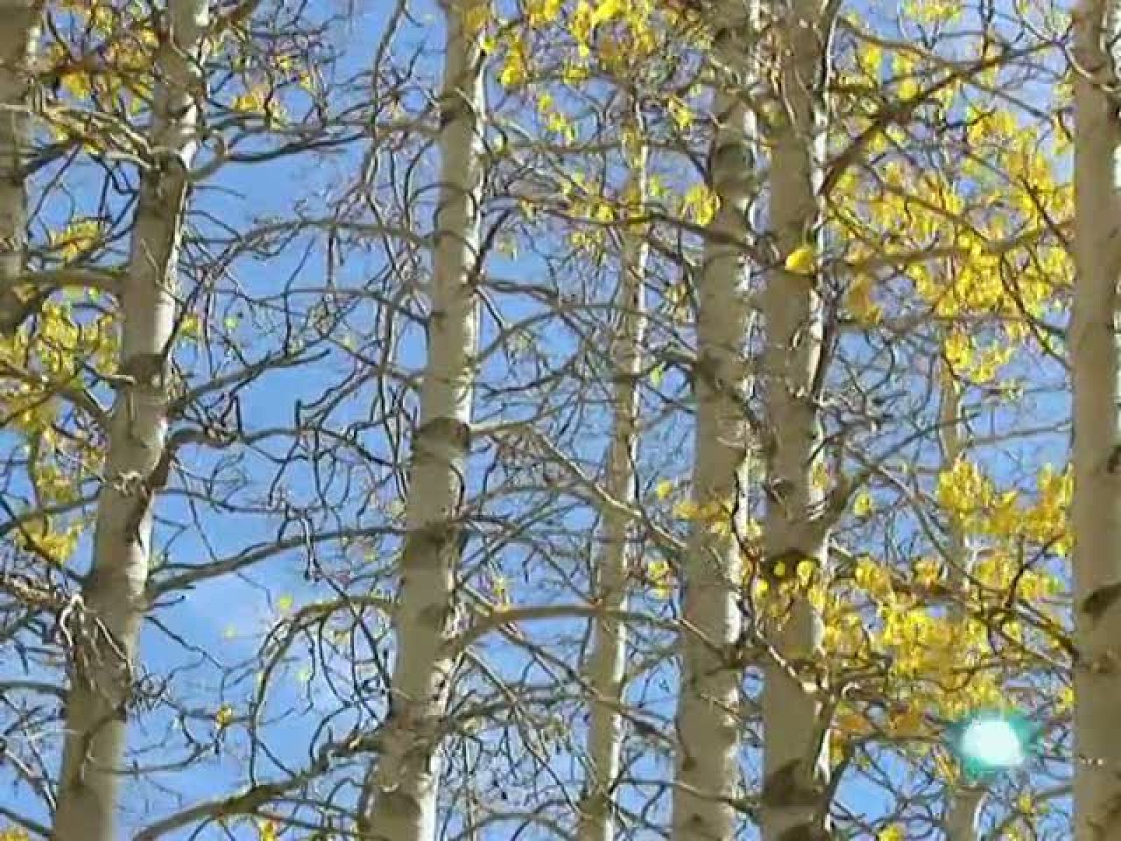 El temps (22-10-2010)