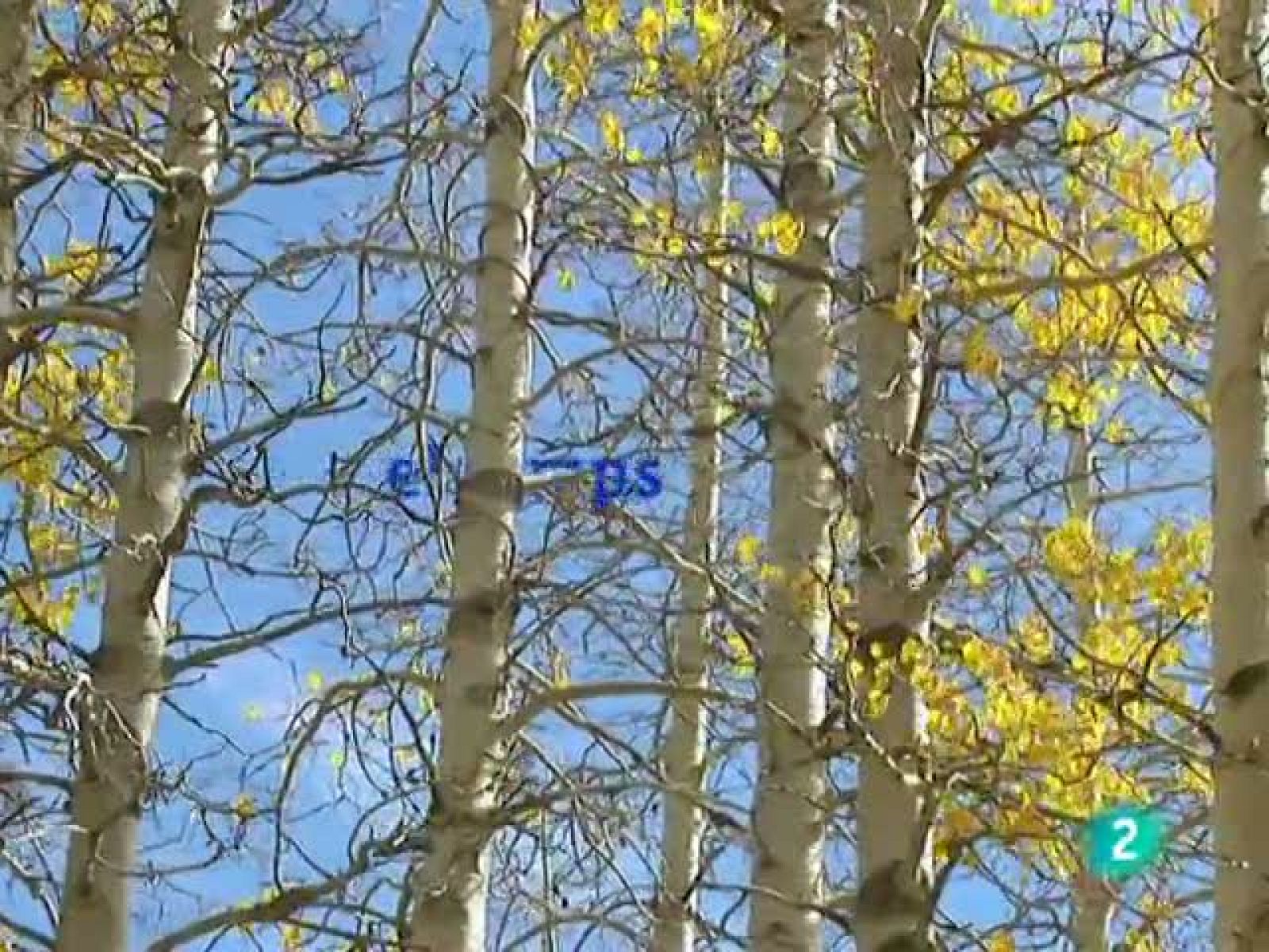 El temps (25-10-2010)