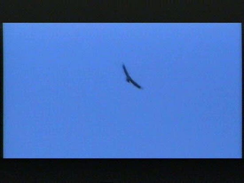 20 equipos disputan el raid Montaña Palentina | Ver