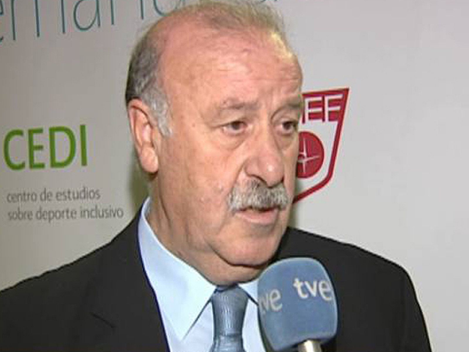 El seleccionador de fútbol español Vicente del Bosque ha asegurado que le gustaría que un jugador de la 'Roja' ganase el Balón de Oro.