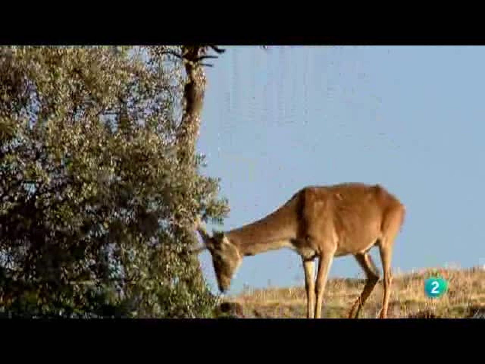 Biodiario (27/10/10)