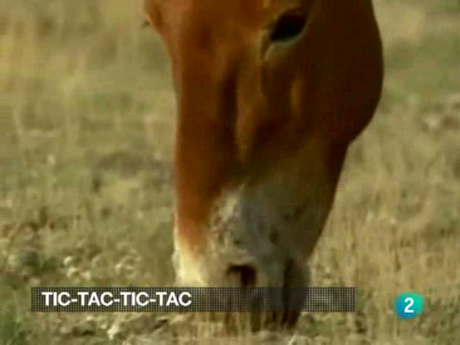 La 2 Noticias (27/10/10)