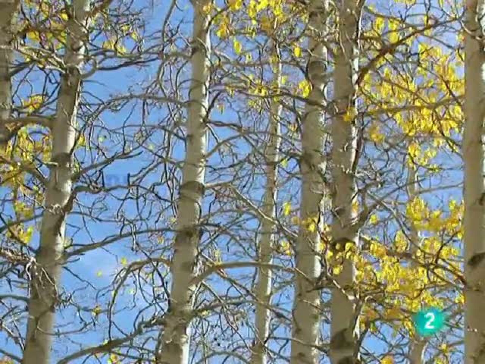 El temps (27-10-2010)