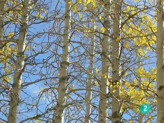 L'Informatiu - El temps en Catalunya - 27/10/10